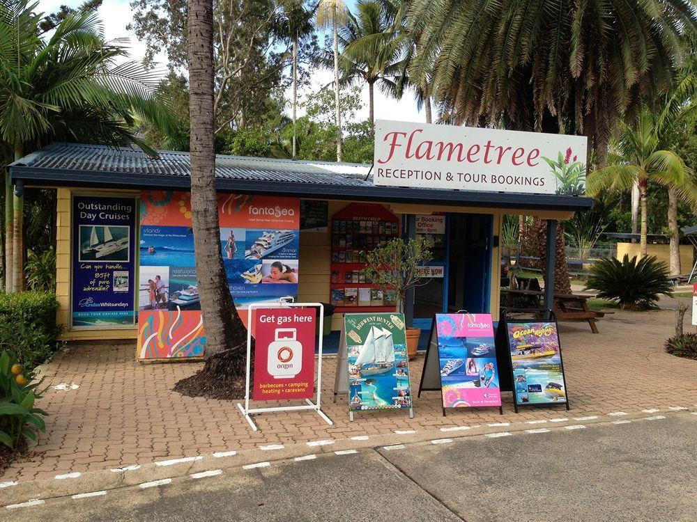 Big4 Whitsundays Tropical Eco Resort Airlie Beach Exterior foto